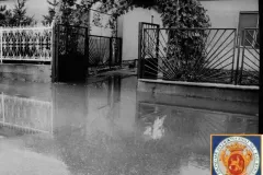 NEG_011_Slika_005_result