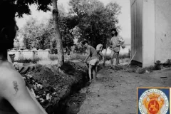 NEG_011_Slika_010_result