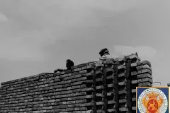 NEG_030_Slika_029_result