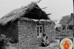 NEG_031_Slika_005_result