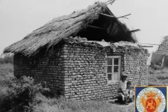 NEG_031_Slika_006_result