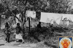 NEG_031_Slika_009_result