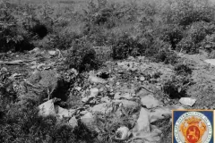 NEG_031_Slika_019_result