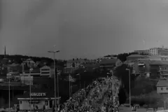 NEG_033_Slika_001_result