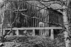 NEG_034_Slika_023_result