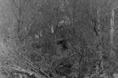 NEG_034_Slika_028_result