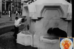 NEG_051_Slika_009_result-1