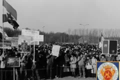 NEG_065_Slika_0013_result