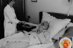 NEG_028_Slika_008_result