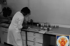 NEG_046_Slika_004_result