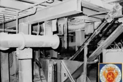 NEG_014_Slika_005_result