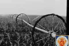 NEG_016_Slika_012_result