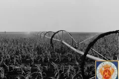 NEG_016_Slika_013_result