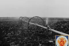 NEG_016_Slika_014_result