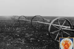 NEG_016_Slika_015_result