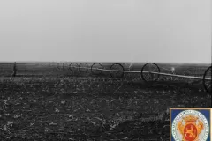 NEG_016_Slika_017_result