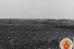 NEG_016_Slika_018_result