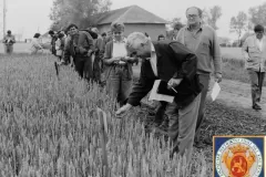 NEG_016_Slika_020_result