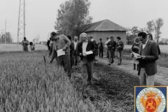 NEG_016_Slika_021_result