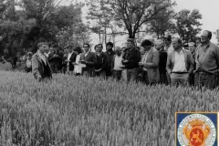 NEG_016_Slika_026_result