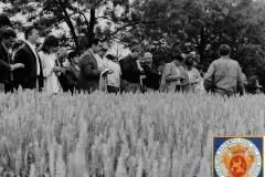 NEG_016_Slika_027_result