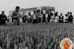 NEG_016_Slika_028_result