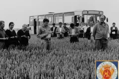 NEG_016_Slika_029_result