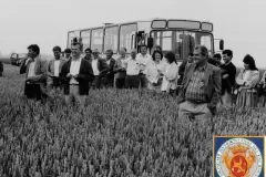 NEG_016_Slika_030_result