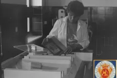 NEG_019_Slika_009_result