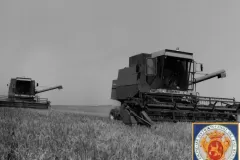 NEG_025_Slika_010_result