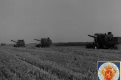 NEG_025_Slika_013_result