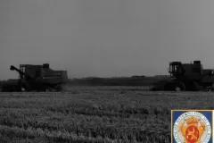 NEG_025_Slika_014_result