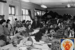 NEG_028_Slika_025_result