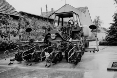 My beautiful picture